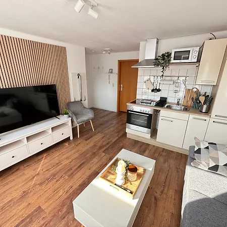 Luettje Delftkamerke Apartment *